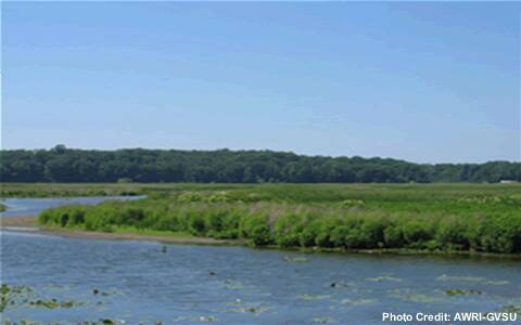 Emergent vegetation lines the shoreline of a lake.